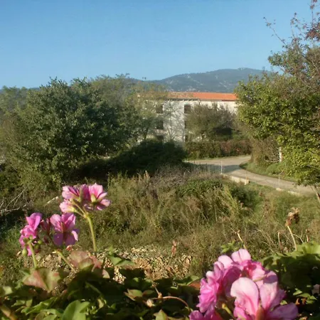 Apartmán By The Sea Nerezine, Losinj - 2516